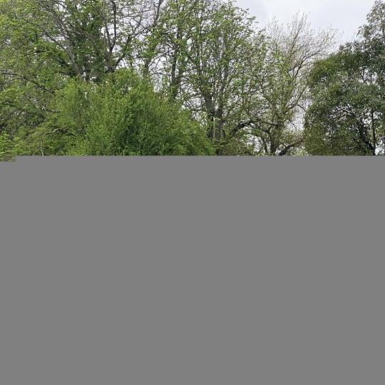  BOUTIN MATTHIAS : Appartement | CARBON-BLANC (33560) | 60 m2 | 735 € 