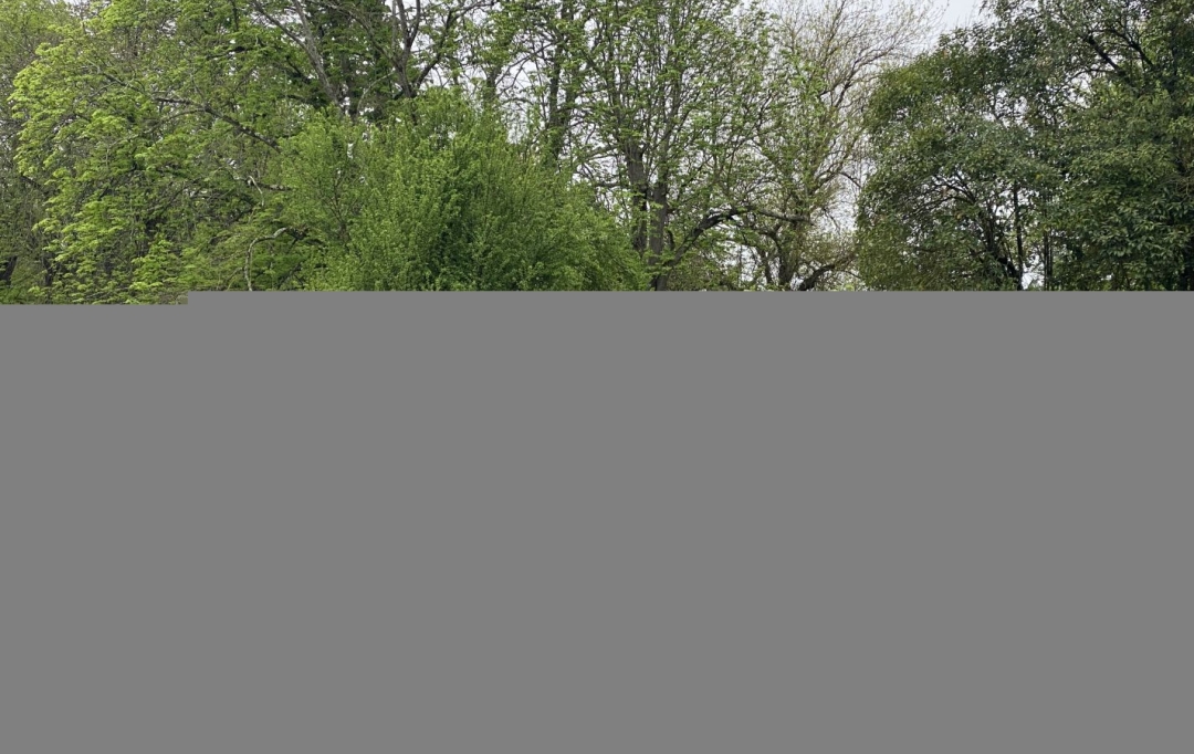 BOUTIN MATTHIAS : Appartement | CARBON-BLANC (33560) | 60 m2 | 735 € 